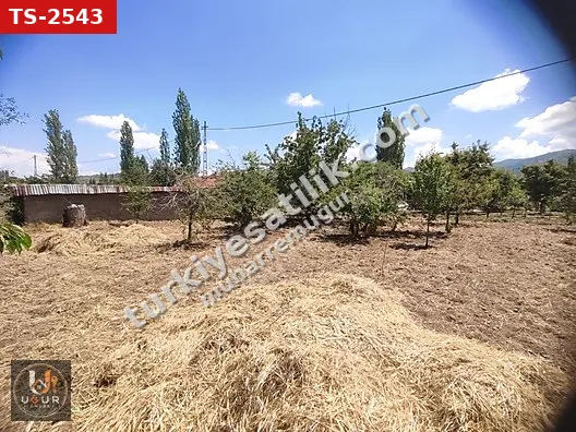 ERKMEN DE DEMOTO ARKASINDA KİRALIK BAĞ